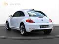 Volkswagen Beetle Lim. Design |Navi|PDC|SHZ Weiß - thumbnail 4