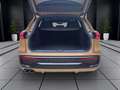 Audi Q5 SUV TDI quattro 150 kW S tronic Gold - thumbnail 4