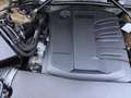 Audi Q5 SUV TDI quattro 150 kW S tronic Gold - thumbnail 18