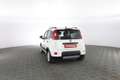 Fiat Panda 1.0 FireFly Hybrid City Life Bianco - thumbnail 5