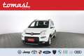Fiat Panda 1.0 FireFly Hybrid City Life Bianco - thumbnail 1
