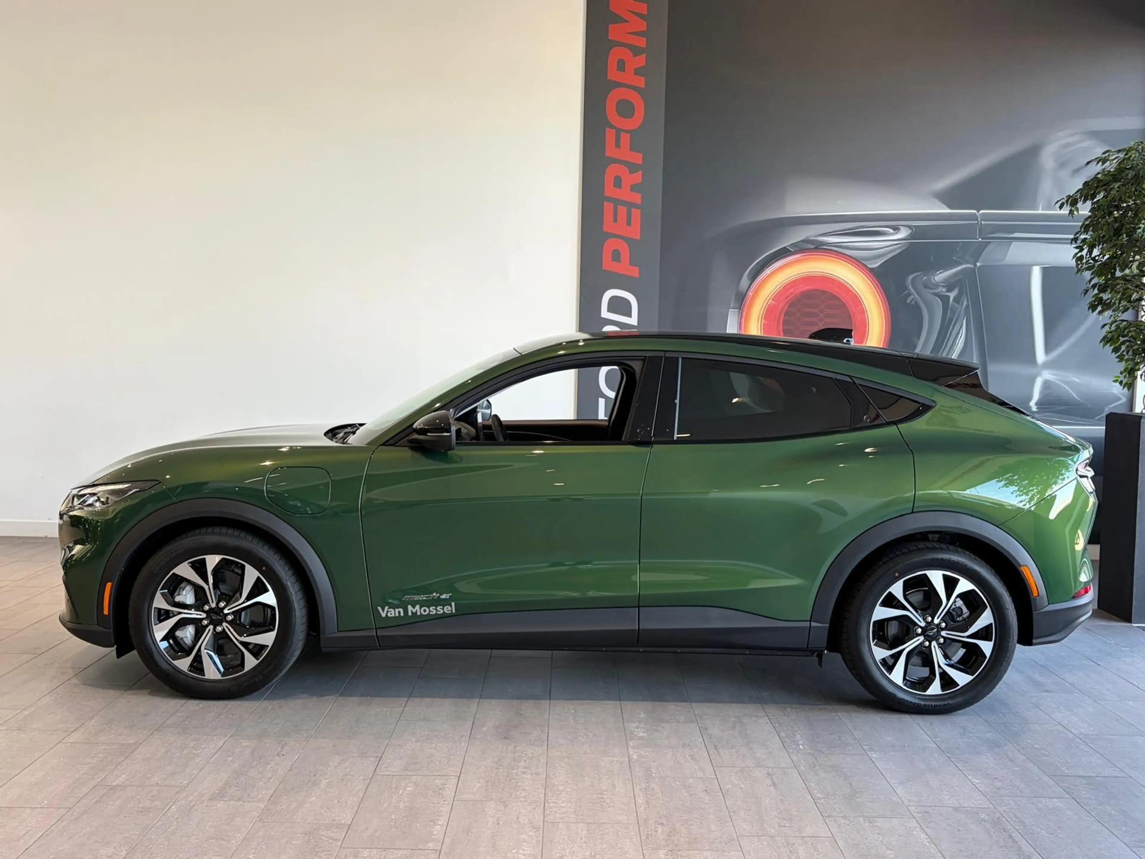 Ford Mustang Mach-E Standard RWD 73 kWh | TECHNOLOGIE PACK+ | ADAPTIVE — photo 2