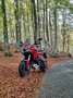 Ducati Multistrada 1200 S Touring Rojo - thumbnail 5