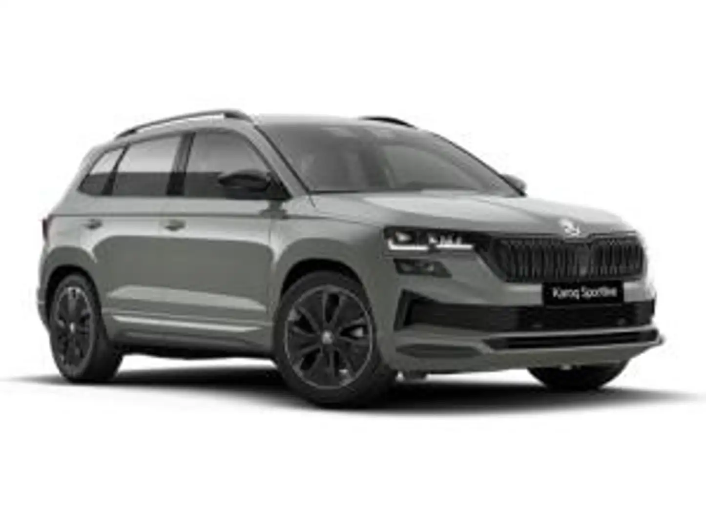 Skoda Karoq 2.0 TSI 4x4 DSG Matrix LED Grau - 2