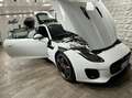 Jaguar F-Type F-Type 2018 2.0 i4 R-Dynamic rwd 300cv auto Bianco - thumbnail 14