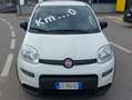 Fiat Panda Panda 1.0 firefly hybrid s Bianco - thumbnail 7