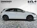 Kia Ceed / cee'd CEED Ultimate Edition 1.5T LED+Kamera+Navi Weiß - thumbnail 6