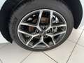 Kia Ceed / cee'd CEED Ultimate Edition 1.5T LED+Kamera+Navi Weiß - thumbnail 14