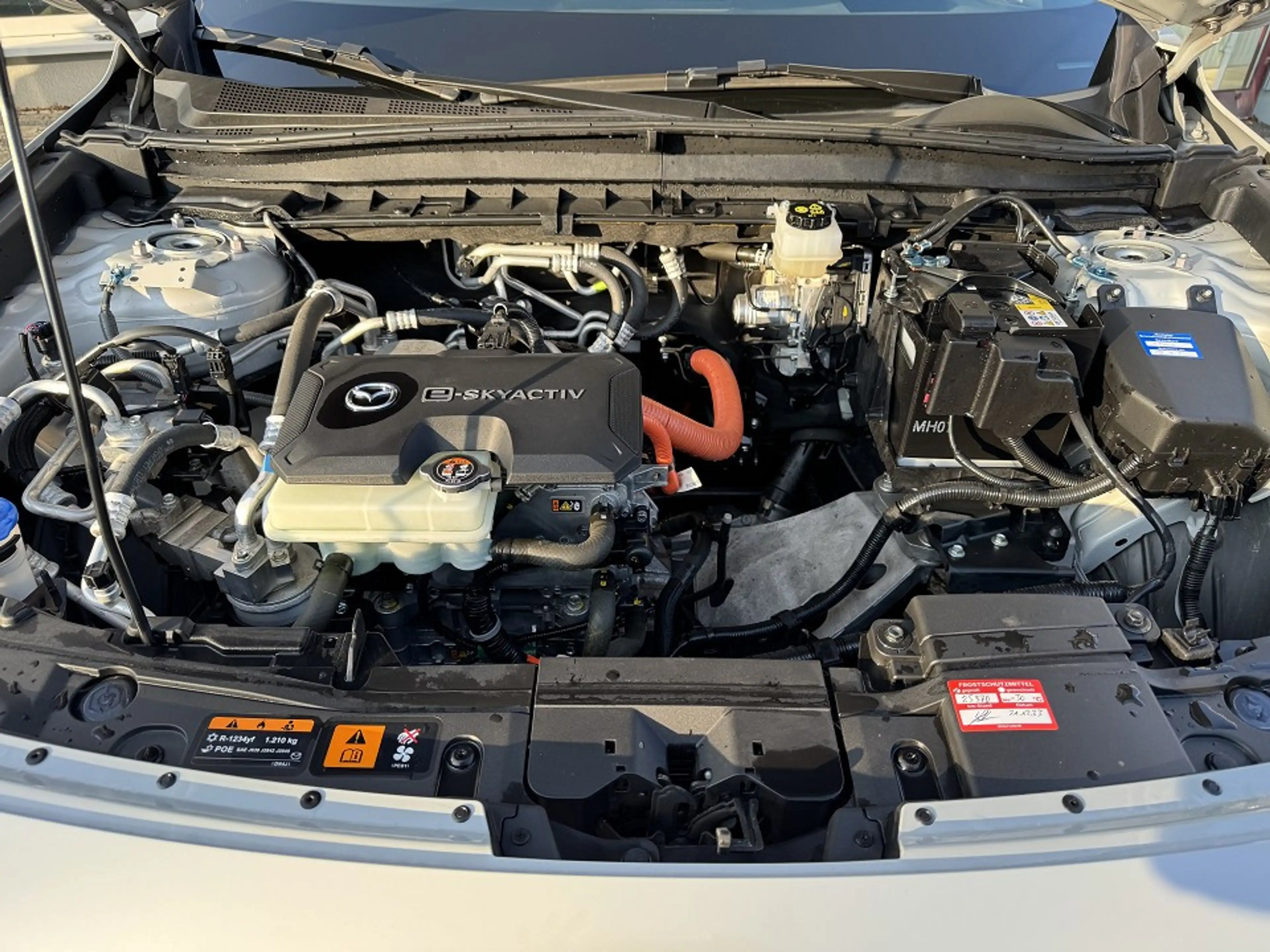 Mazda MX-30 35,5 kWh e-SKYACTIV 145 PS — photo 13