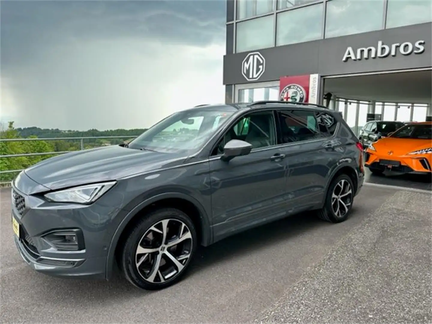 SEAT Tarraco FR 2.0 TDI DSG 4Drive Grau - 1