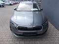 Skoda Octavia Exclusive Grau - thumbnail 2