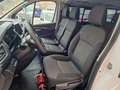 Renault Trafic Combi 9 2.0dCi Energy Blue 81kW Blanco - thumbnail 20