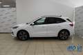 Ford Kuga 1.5 EcoBoost 150CV 2WD ST-Line Weiß - thumbnail 5