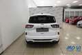 Ford Kuga 1.5 EcoBoost 150CV 2WD ST-Line Weiß - thumbnail 10