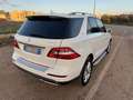 Mercedes-Benz ML 250 Bluetec Sport 4matic Auto CarPlay Telecamera Bianco - thumbnail 5