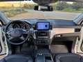 Mercedes-Benz ML 250 Bluetec Sport 4matic Auto CarPlay Telecamera Bianco - thumbnail 10
