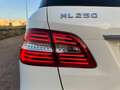 Mercedes-Benz ML 250 Bluetec Sport 4matic Auto CarPlay Telecamera Bianco - thumbnail 28
