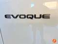 Land Rover 2.0 D163 AUTO 4WD MHEV Blanco - thumbnail 34
