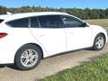 Ford Focus Focus Turnier 1.0 EcoBoost Start-Stopp-System COOL Weiß - thumbnail 5