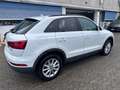 Audi Q3 2.0 TDI Business 120CV*CERCHI*NAVI*EURO 6 Weiß - thumbnail 4