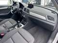 Audi Q3 2.0 TDI Business 120CV*CERCHI*NAVI*EURO 6 Weiß - thumbnail 11