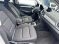 Audi Q3 2.0 TDI Business 120CV*CERCHI*NAVI*EURO 6 Weiß - thumbnail 10