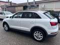Audi Q3 2.0 TDI Business 120CV*CERCHI*NAVI*EURO 6 Weiß - thumbnail 5