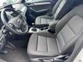 Audi Q3 2.0 TDI Business 120CV*CERCHI*NAVI*EURO 6 Weiß - thumbnail 7