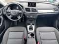 Audi Q3 2.0 TDI Business 120CV*CERCHI*NAVI*EURO 6 Weiß - thumbnail 13