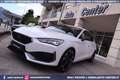 CUPRA Leon VZ 2.0 TSI DSG 5p 300CV Bianco - thumbnail 8