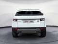 Land Rover Range Rover Evoque Pure Blanc - thumbnail 5