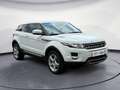 Land Rover Range Rover Evoque Pure Blanc - thumbnail 2