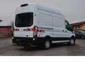 Ford Transit 310 L2 H3 Trend/Werkstatt/Navi/RKam Weiß - thumbnail 4
