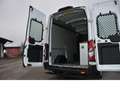 Ford Transit 310 L2 H3 Trend/Werkstatt/Navi/RKam Weiß - thumbnail 9