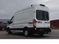 Ford Transit 310 L2 H3 Trend/Werkstatt/Navi/RKam Blanc - thumbnail 5