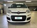 Fiat Panda 1.2 69cv E6 Easy Bianco - thumbnail 6
