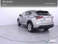 Lexus NX 300 300h F Luxury 4WD Grigio - thumbnail 2