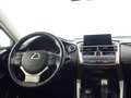 Lexus NX 300 300h F Luxury 4WD Grigio - thumbnail 9
