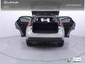 Lexus NX 300 300h F Luxury 4WD Grigio - thumbnail 13