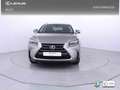 Lexus NX 300 300h F Luxury 4WD Grigio - thumbnail 5