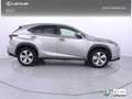 Lexus NX 300 300h F Luxury 4WD Gris - thumbnail 24