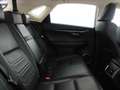 Lexus NX 300 300h F Luxury 4WD Grigio - thumbnail 12