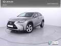 Lexus NX 300 300h F Luxury 4WD Grau - thumbnail 1