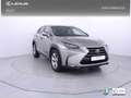 Lexus NX 300 300h F Luxury 4WD Grau - thumbnail 26