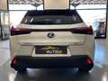 Lexus UX Full Electric UX Hybrid Premium*FULL OPTIONAL*A Bianco - thumbnail 12