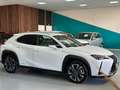 Lexus UX Full Electric UX Hybrid Premium*FULL OPTIONAL*A Wit - thumbnail 8