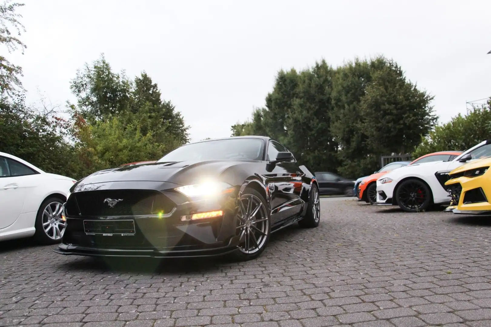 Ford Mustang GT 5.0 V8 Auto 20Zoll JapanRacing/NonOPF Schwarz - 1