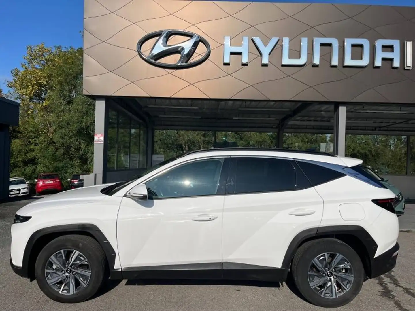Hyundai TUCSON 1.6 T-GDi 230ch Hybrid Creative BVA6 Blanc - 2