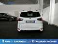 Ford EcoSport 1.0 ecoboost ST-Line s&s 125cv my20.25 Bianco - thumbnail 4