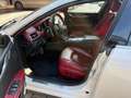 Maserati Ghibli 3.0 V6 ds 250cv AUTOMATICO Wit - thumbnail 7